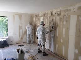 Mold Remediation for Vacation Homes in Richardson, TX